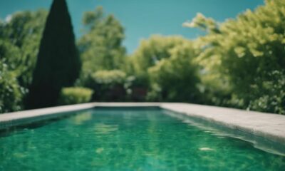 top pool vacuums for algae