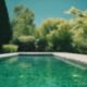 top pool vacuums for algae