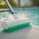 top vacuums for pool algae