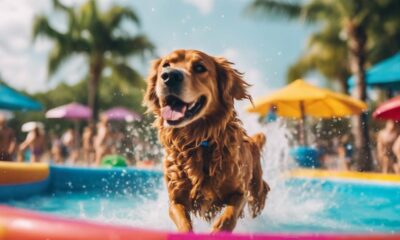 dog friendly water park fun