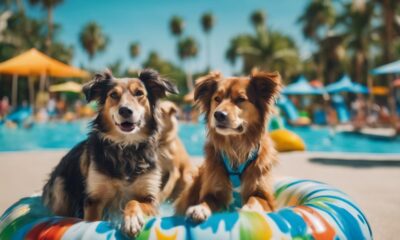 dog friendly water parks nearby