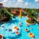 dallas water parks guide