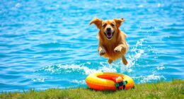 dog swimming safety tips