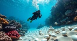 pearl diving policies summary