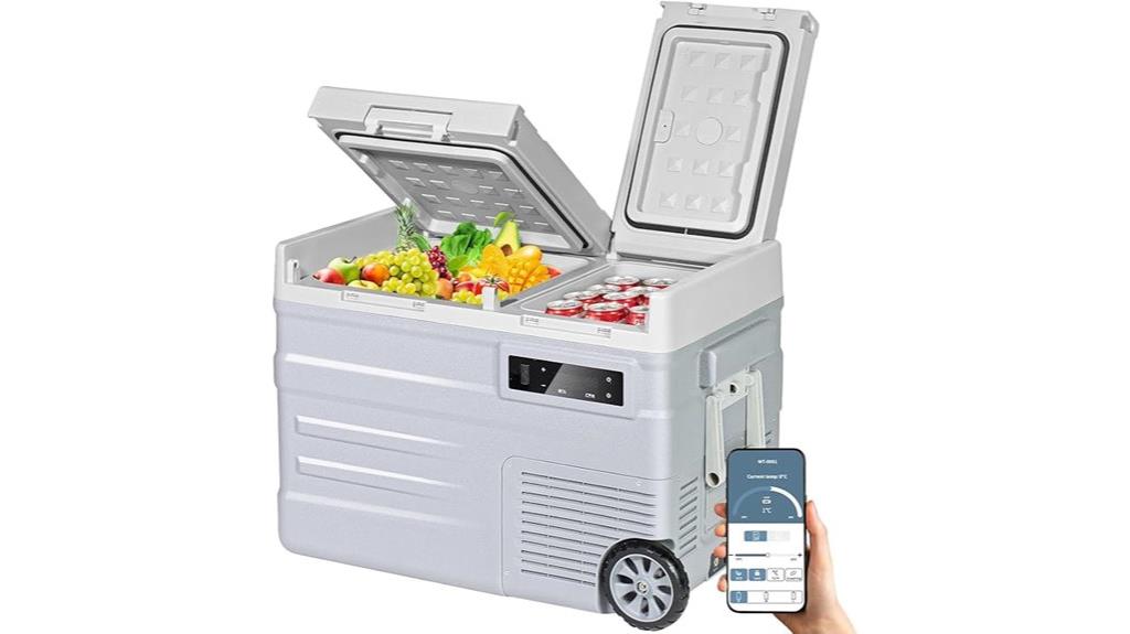 12v dual zone cooler