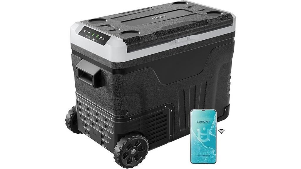 12v dual zone cooler