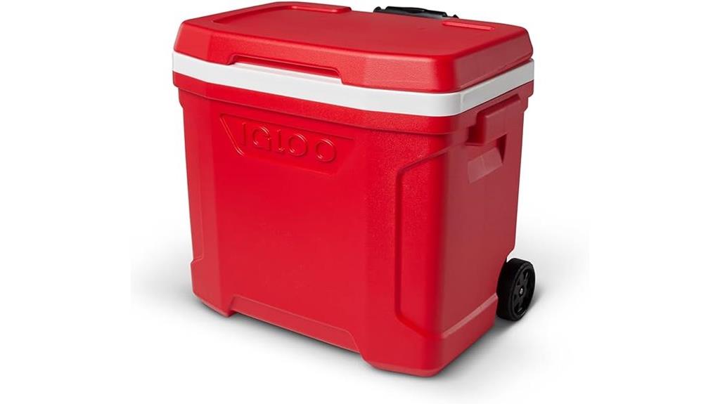 igloo 28 qt cooler