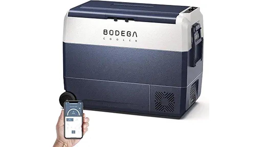 portable 12v car cooler