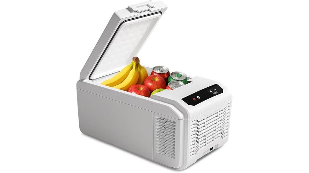 portable 12v cooler freezer