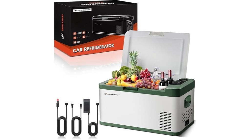 premium 12v car cooler