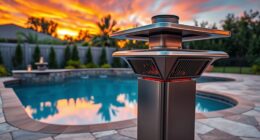 top natural gas pool heaters