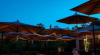top shade with lights