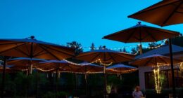top shade with lights