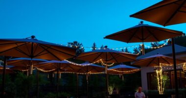 top shade with lights
