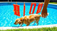 pet pool safety tips