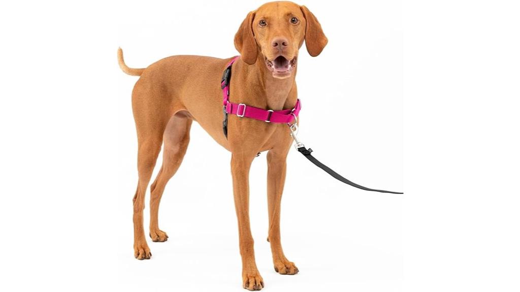 comfortable medium dog harness