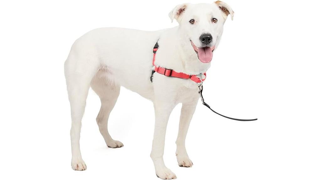 dog harness for medium large