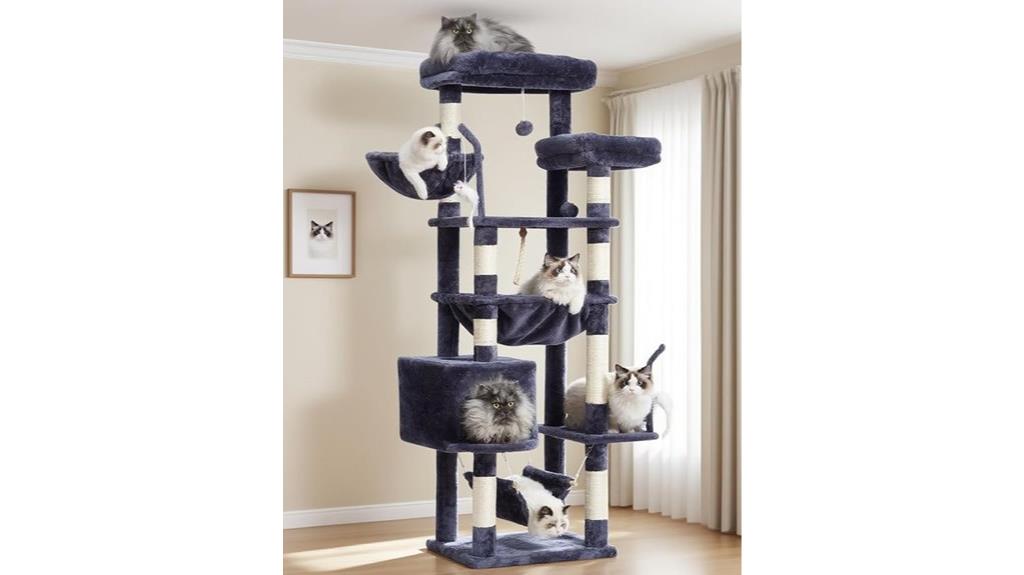 large indoor cat playground