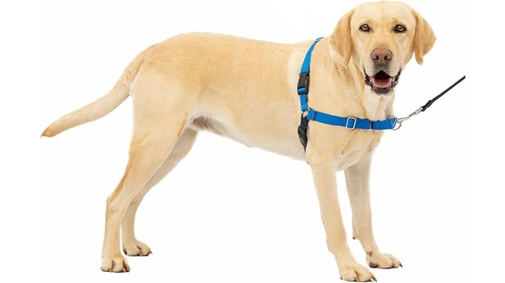 no pull dog harness