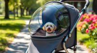 top small dog strollers