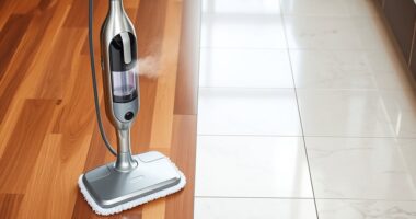 top steam mops for floors