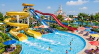 assessing disney water park worth