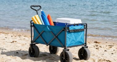 ideal soft sand beach cart