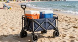 top beach cart recommendations