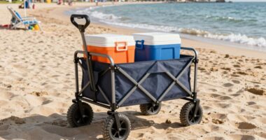 top beach cart recommendations