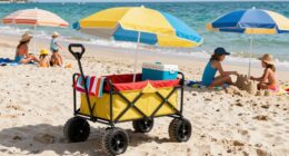 top family beach wagons