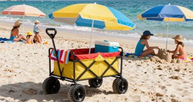 top family beach wagons