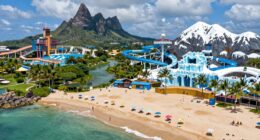 tropical vs wintry theme