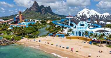 tropical vs wintry theme