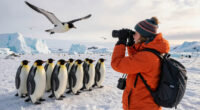 Baby emperor penguins met a giant petrel on their first trip to the sea… then something unexpected appeared.