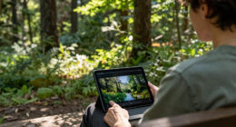 Enjoy Three Hours of Free Nature Videos Narrated by David Attenborough
