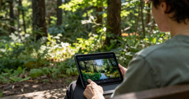 Enjoy Three Hours of Free Nature Videos Narrated by David Attenborough