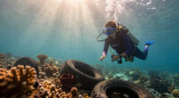 Florida’s Osborne Reef: 2 Million Tires Dumped in the Ocean to Build a ‘Revolutionary’ Reef… and It Wrecked the Marine Ecosystem