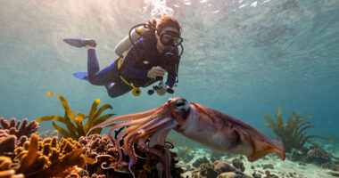 Friday Squid Blogging: Giant Squid Live in the Waters of Western Australia