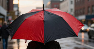 The best umbrellas in the UK for staying dry in the wind and rain – tested on a 517m hilltop