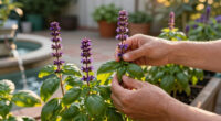 Bolting basil: Why basil bolts and what to do about it