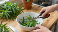 Grow Your Own Natural, Zero-Calorie Sweetener at Home – Plus, 3 Easy Ways to Store and Use Your Stevia Harvest