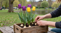 Hamburg's Stadtpark: A Park Built To Be Used