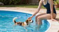 15 Best Dog Pools in 2026
