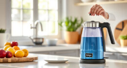 Cool Summer Sips: Must-Have Accessories for Your Ninja KT200BL Electric Kettle