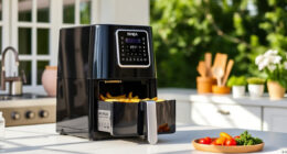 Summer Care & Troubleshooting for the Ninja Foodi 10 Quart Air Fryer