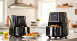 Summer Care & Troubleshooting Guide for Ninja DoubleStack XL Air Fryer