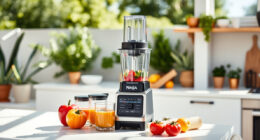 Summer-Ready Ninja Kitchen System Accessories for Poolside Blends