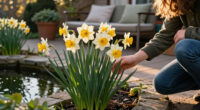 This Daffodil Is Quietly Replacing Classic Yellow Varieties – It’s Fragrant, Long-Lived, And Hardy
