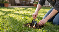 Want A Lawn Full Of Crocuses Next Spring? Pros Share Their Fall Planting Tips (And Mistakes To Avoid) For A Dreamy Carpet Of Color
