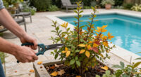 5 Shrubs To Prune In October For Healthier Growth And Better Blooms Next Year